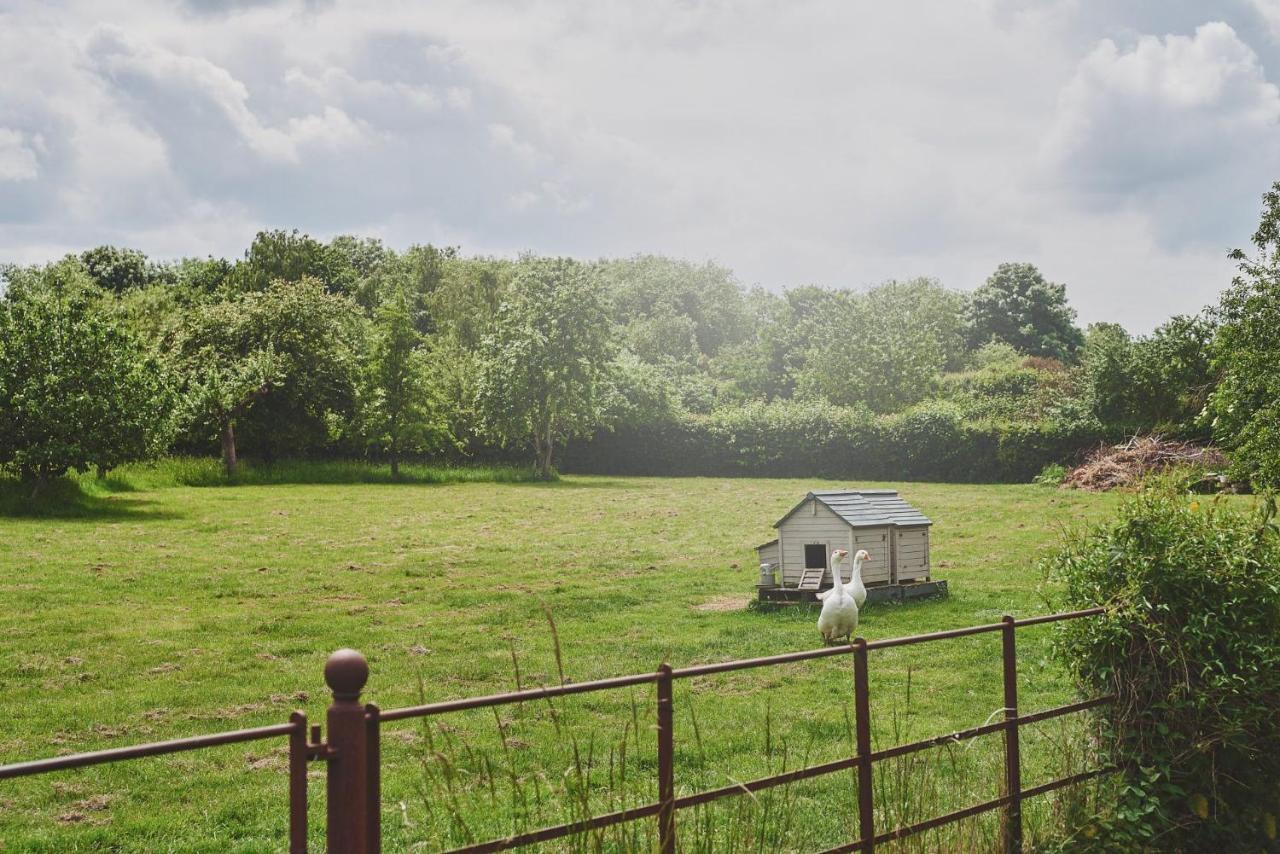 Apple Tree Cottage Beckford Exterior photo